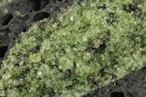 Peridot in Basalt - Arizona #247743-1